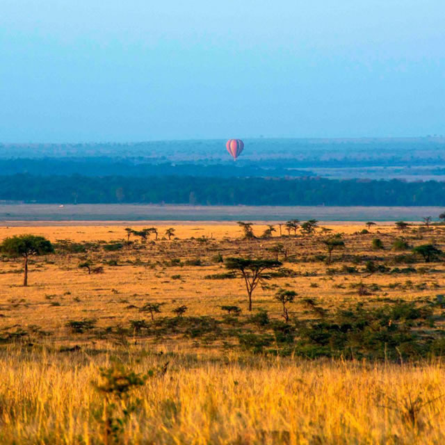 maasai mara hot air balloon rides