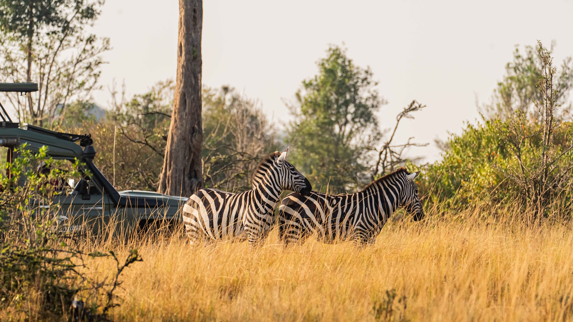 mara north conservancy